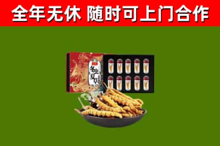南安市回收冬虫夏草价格